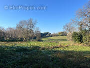 Terrain à SAINT-LOUBES