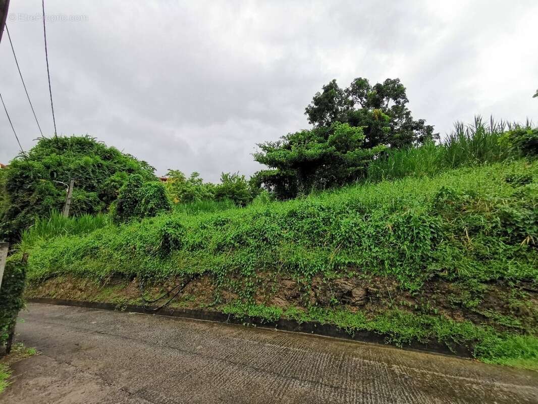 Terrain à RIVIERE-SALEE