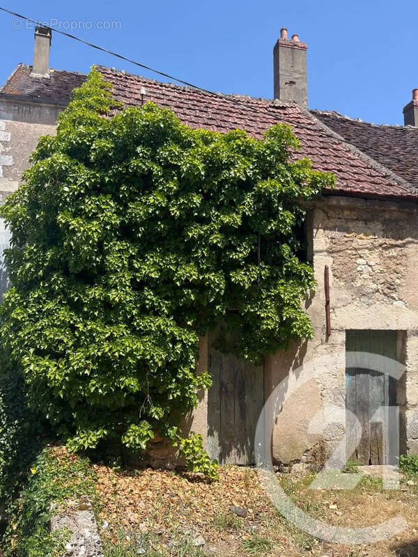Maison 150 m² à Coulanges-Sur-Yonne  - photo 14