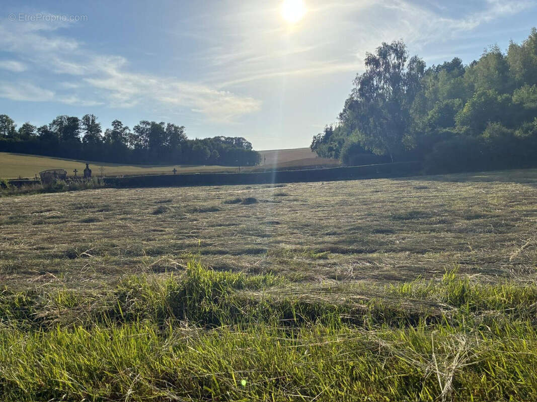Terrain à REMAUCOURT