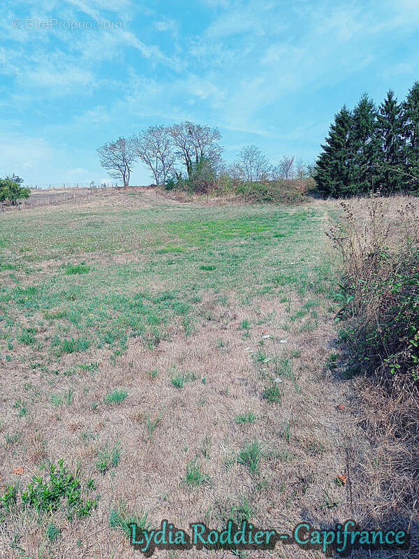 Terrain à LIMONS