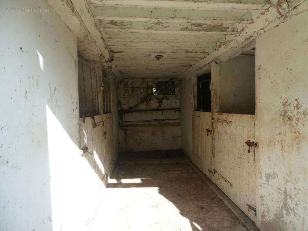 Terrain à MEZIDON-CANON