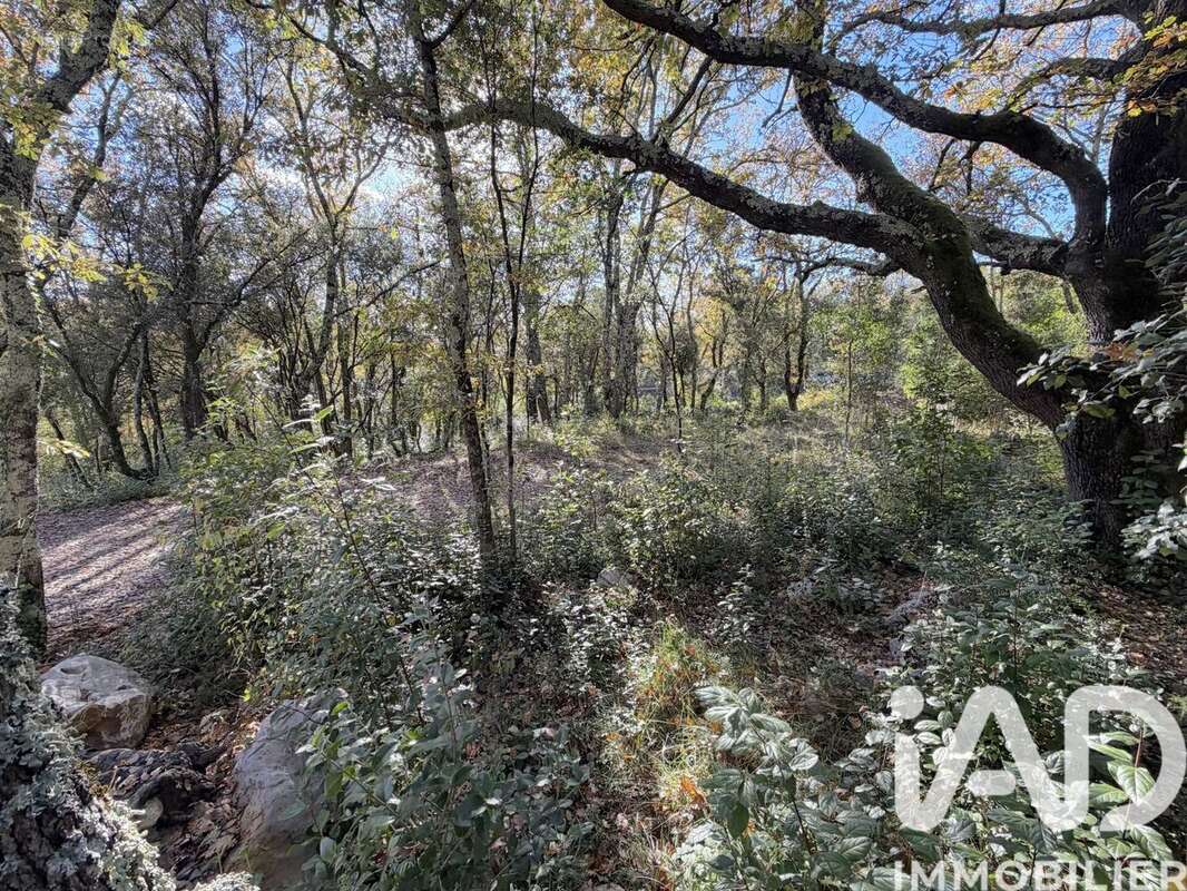 Photo 7 - Terrain à SAINT-HIPPOLYTE-DU-FORT