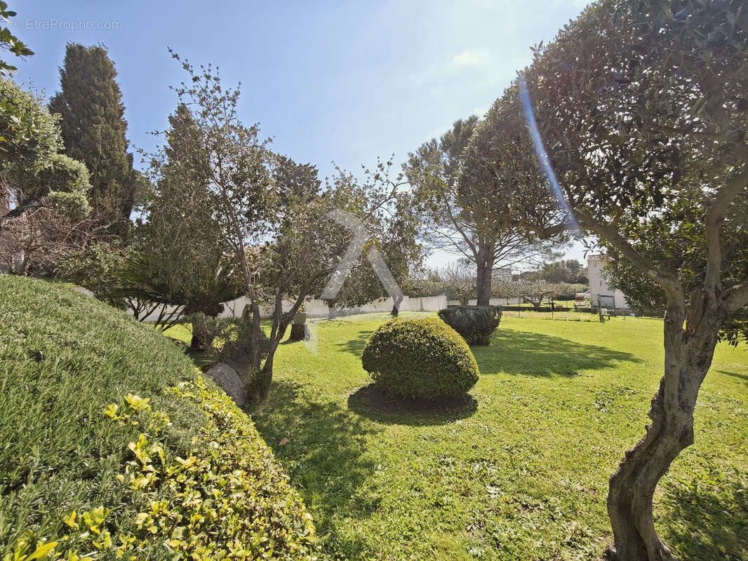 Appartement à PORTO-VECCHIO