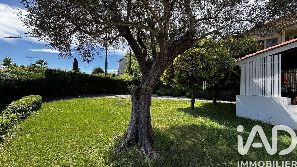 Photo 3 - Maison à CAGNES-SUR-MER