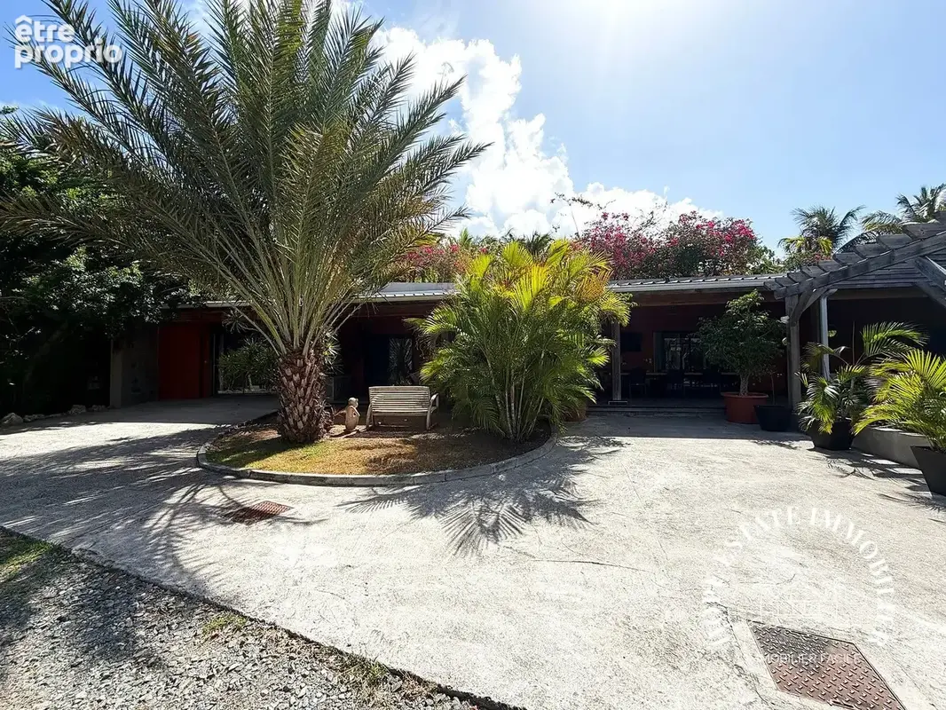 jardin tropical