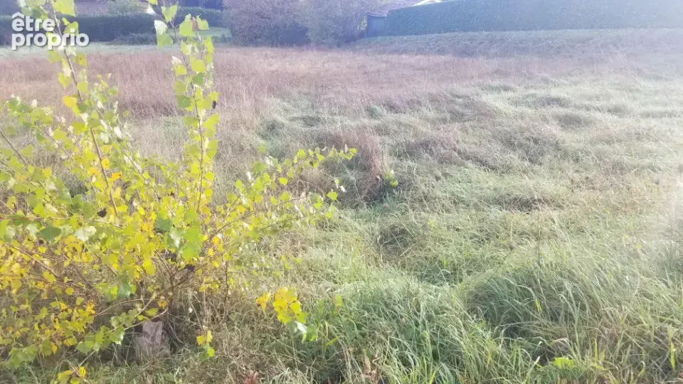 Terrain à LE POUT
