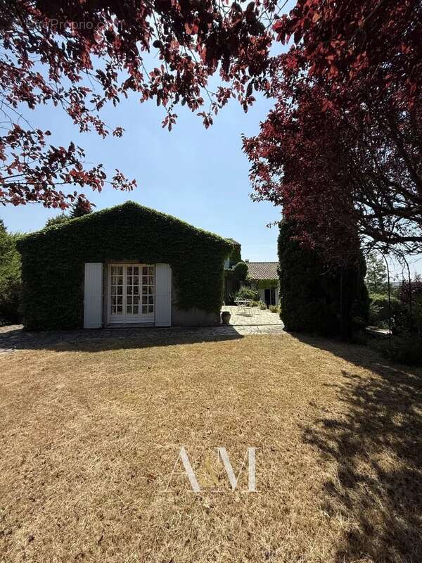 Villa T6 de 275 m² + sous-sol 180 m²/ 2548m² - photo 5