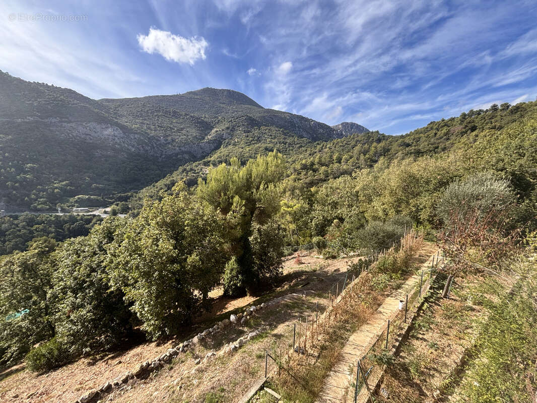 Maison à ROQUEBRUNE-CAP-MARTIN