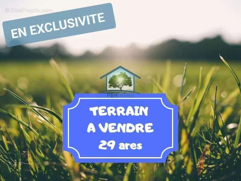 Terrain à VOLMUNSTER