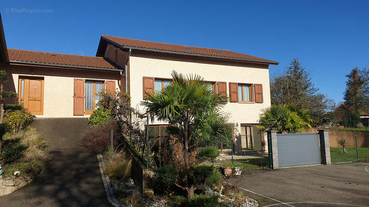 A 40 minutes de Lyon 8, belle villa de 450m2 avec piscine intérieure sur 3 224 m2 de terrain clos - photo 4