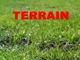 Terrain à CUZIEU