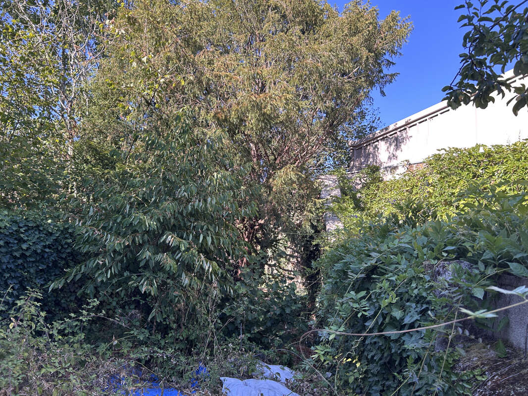 A VENDRE - Maison à réhabiliter avec jardin Argenton-sur-Creuse centre-ville - photo 4