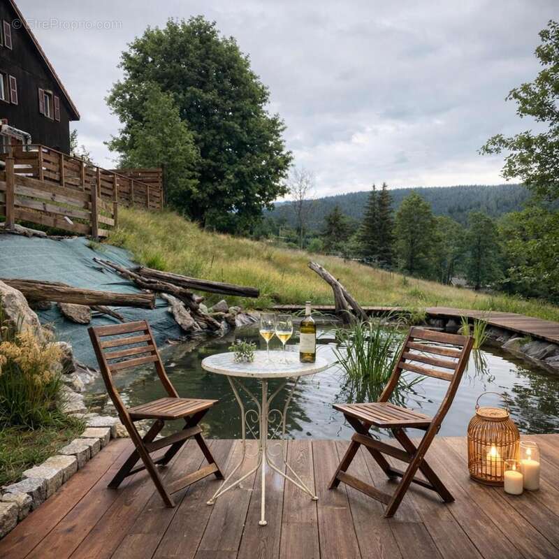 Photo 5 - Maison à BAN-SUR-MEURTHE-CLEFCY