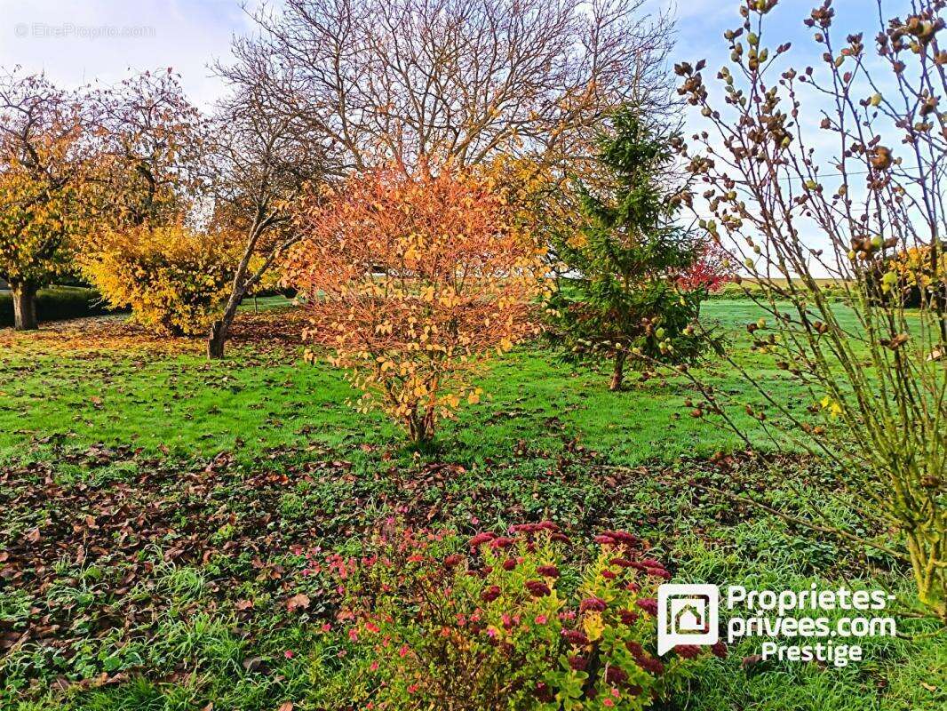 Maison à VERNOU-SUR-BRENNE