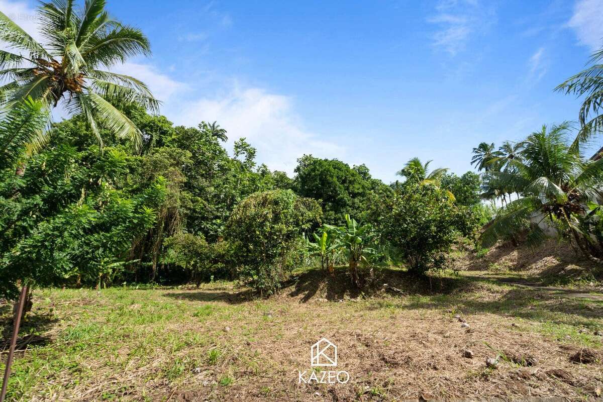 Terrain à LE LAMENTIN