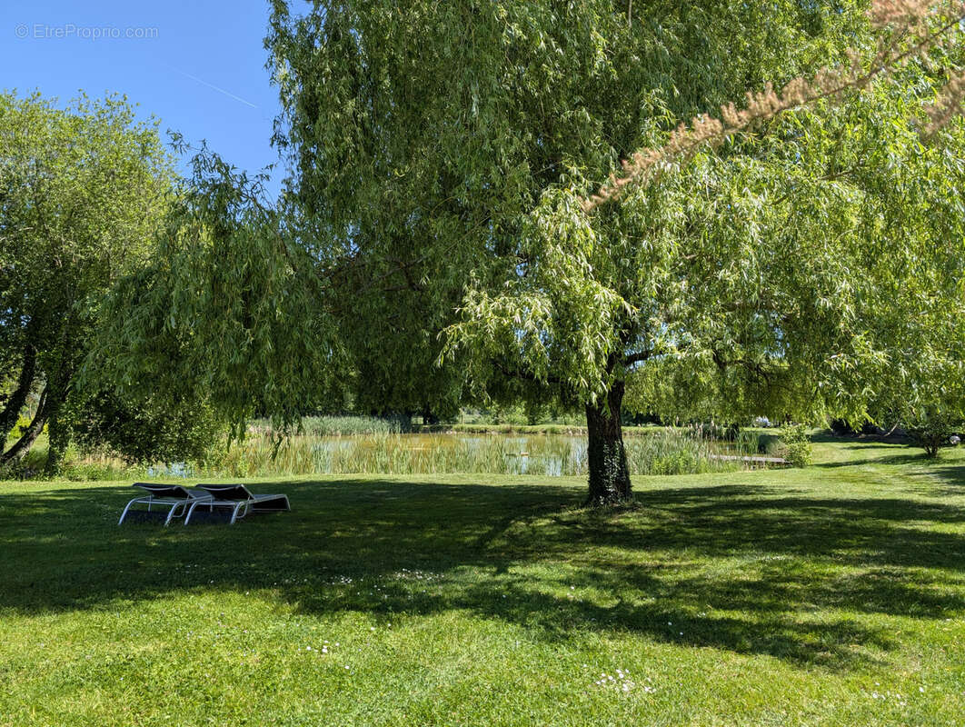 Maison à PIERREFITTE-SUR-SAULDRE