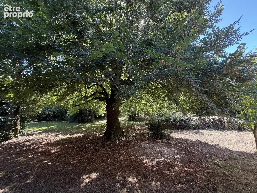 PIED PIED avec 4600m² Terrain bien arboré - photo 18