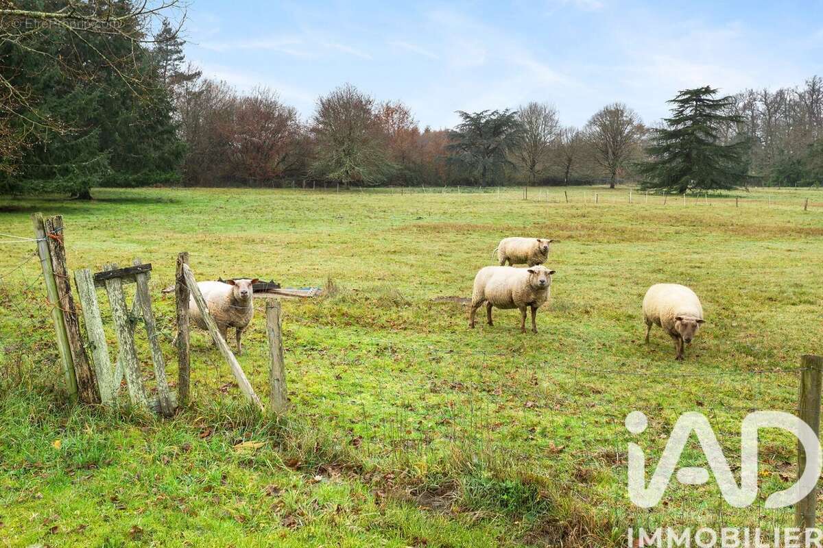Photo 3 - Maison à BOUAYE