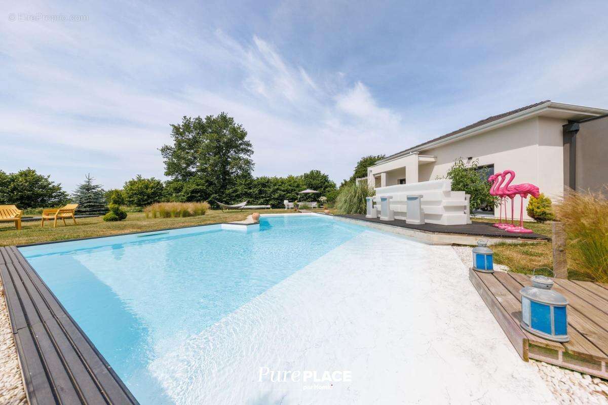 Villa d’architecte contemporaine avec piscine chauffée et vues sur le Puy de Dôme et le Sancy - photo 3