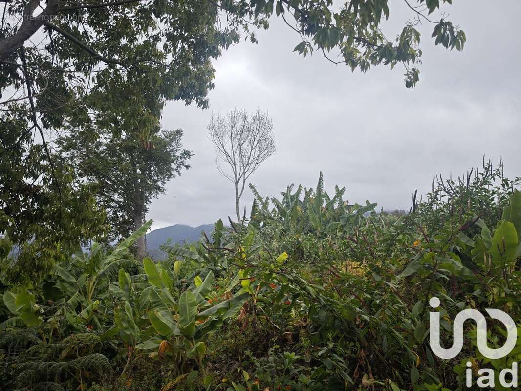 Photo 2 - Terrain à LE TAMPON