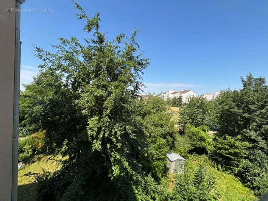 Duplex - Secteur du Plateau - 102m² - photo 13