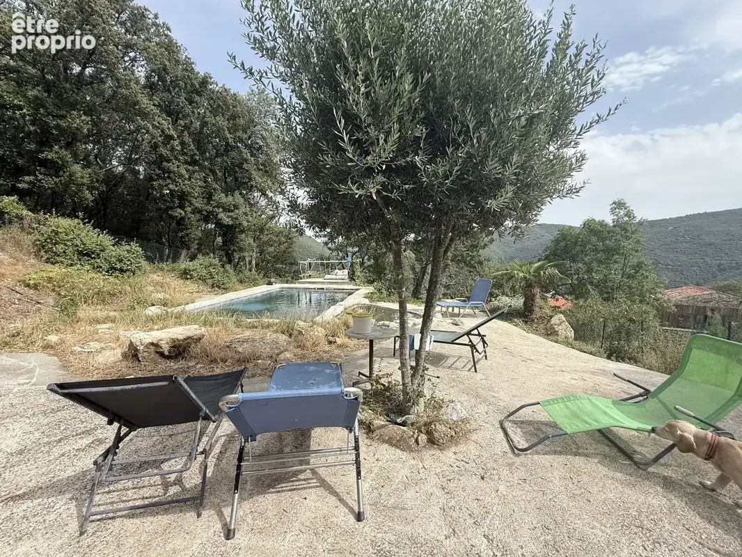 Propriété d’exception au cœur du Vallespir   Mas bioclimatique, dépendance à aménager, piscine et 5,2 hectares - photo 2