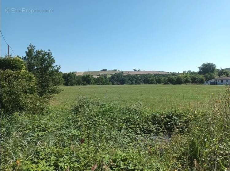 Terrain à BESSIERES