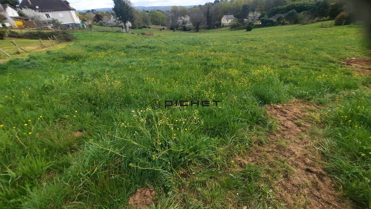 Terrain à BRIVE-LA-GAILLARDE