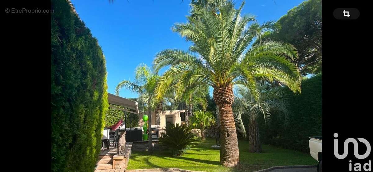 Photo 4 - Maison à SAINTE-MAXIME