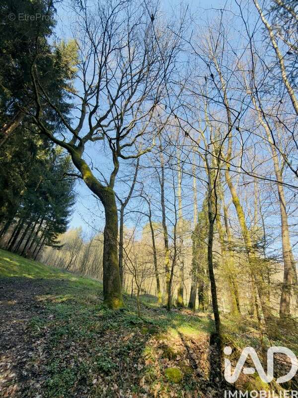 Photo 6 - Terrain à DURSTEL