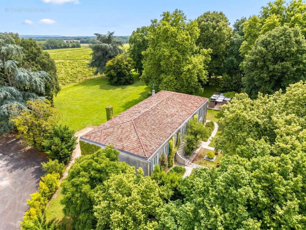 Maison 600 m² à Yvrac  - photo 4