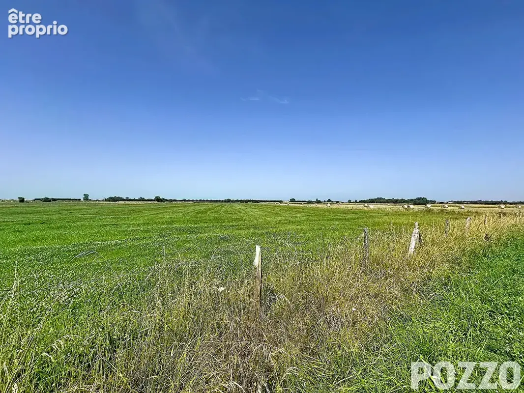 BLAINVILLE SUR MER - Terrain à bâtir  avec permis accordé (non modifiable) et taxe d'aménagement acquittée. - photo 4