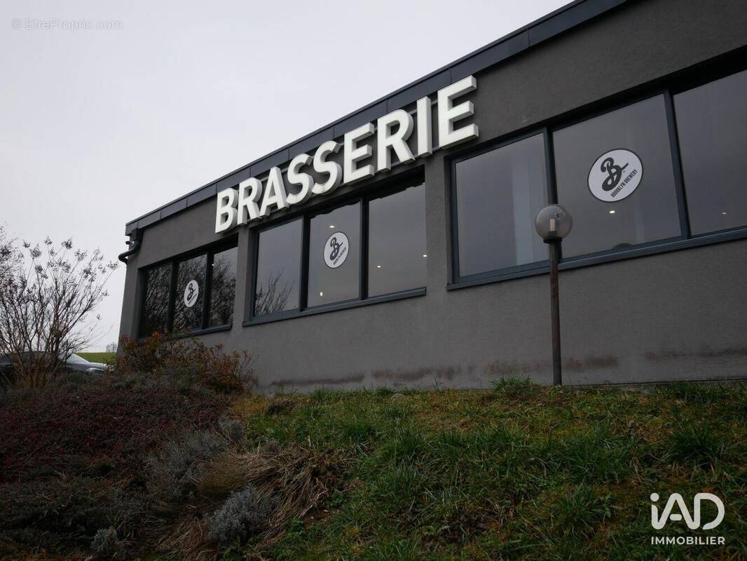 Photo 1 - Commerce à VILLY-LE-PELLOUX