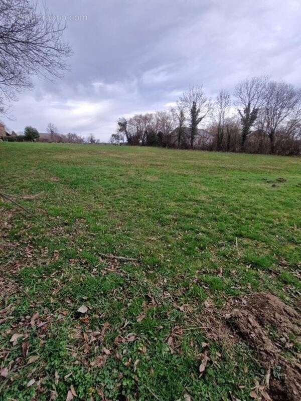 Photo 3 - Terrain à BROMONT-LAMOTHE