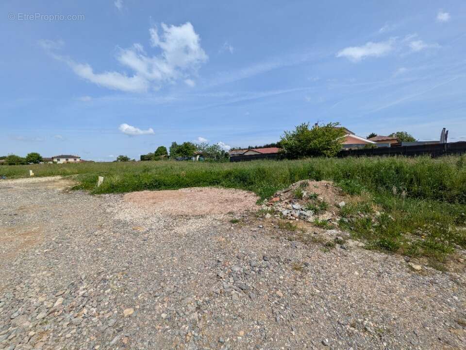 Terrain à DOMPIERRE-SUR-CHALARONNE
