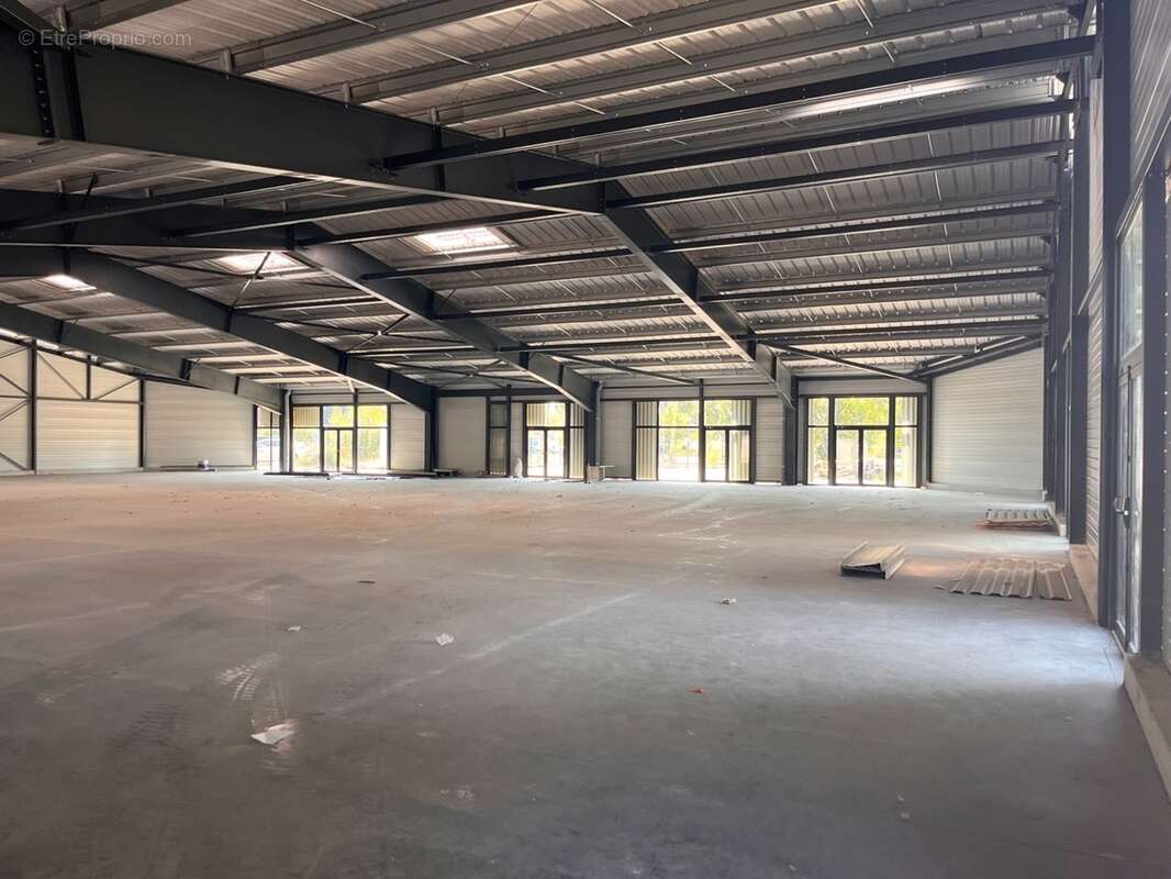 À vendre – Actif commercial neuf d’exception – Nord de Toulouse SAINT ALBAN (31) - photo 4