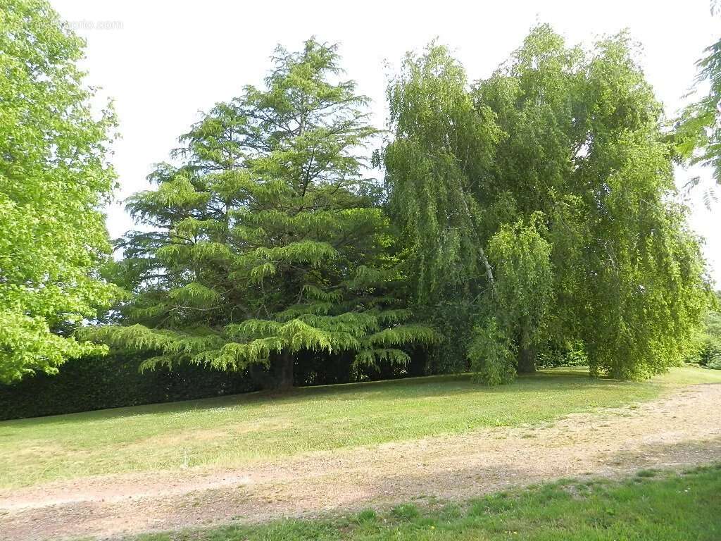 Maison à SAINT-PIERRE-SUR-DIVES