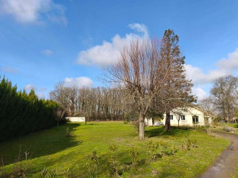 Maison à vendre 4 pièces AIRE SUR L'ADOUR (40) - photo 22