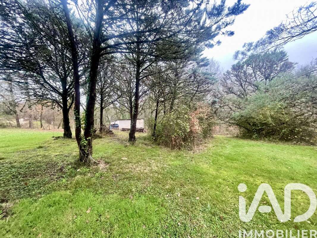 Photo 2 - Terrain à LE BORN