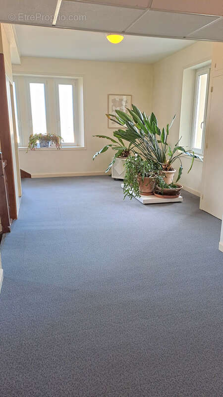 Appartement à TREBEURDEN