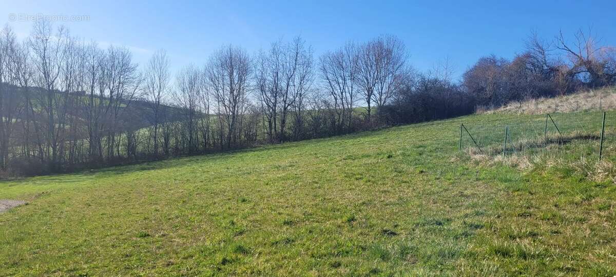 Terrain à TERRE-CLAPIER