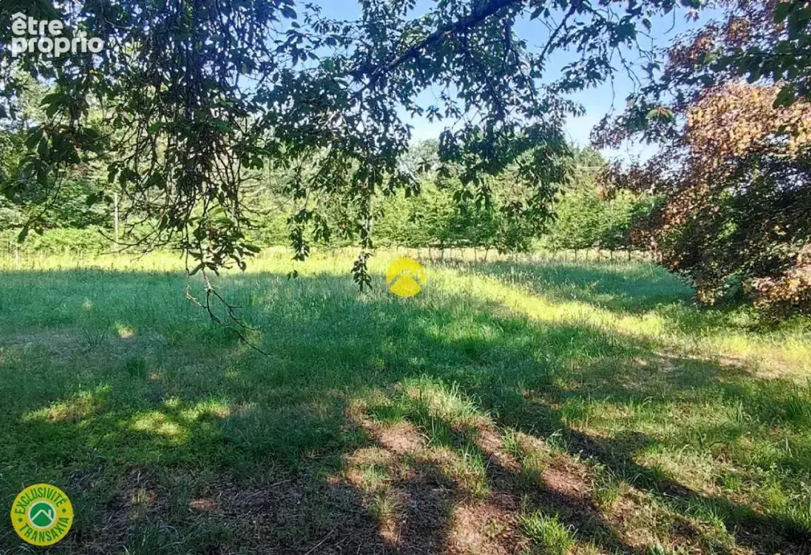 Une rarete à ce prix - photo 10