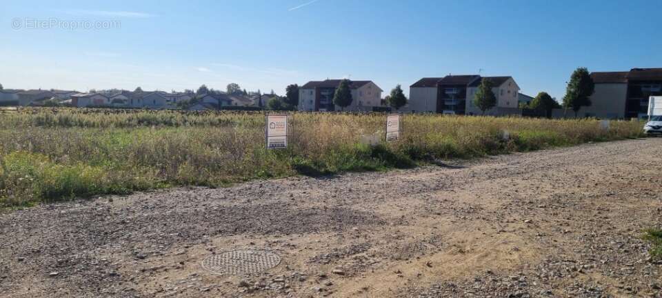 Terrain 424 m² à Montanay  - photo 3