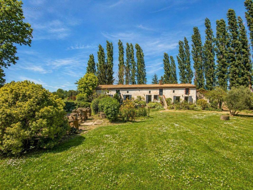 Maison à SAINT-FLORENT-LE-VIEIL