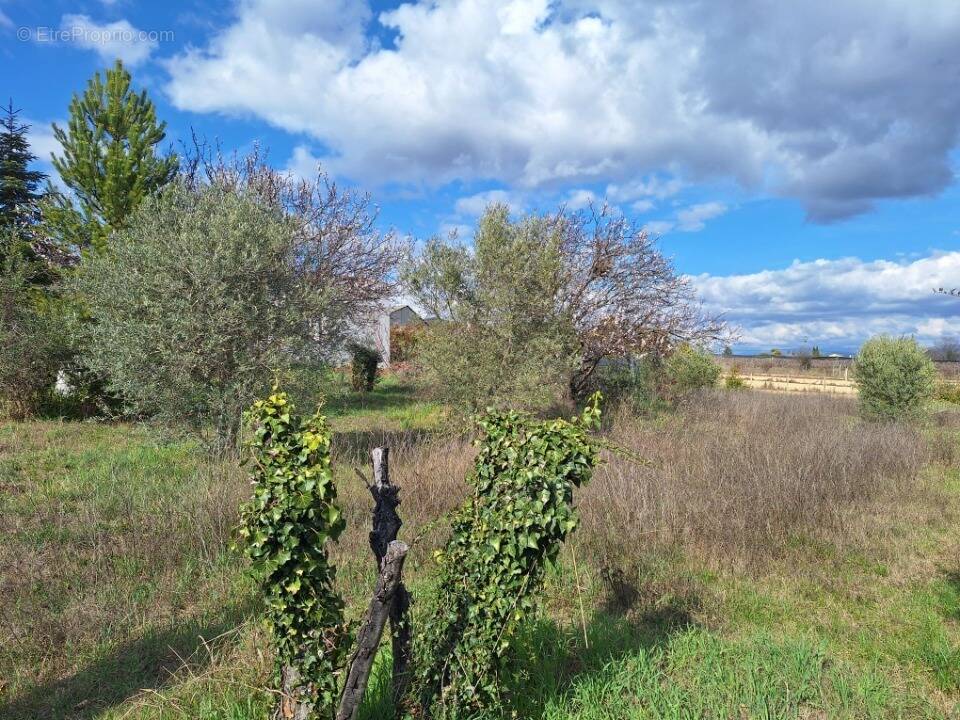 Terrain à VILLENEUVE