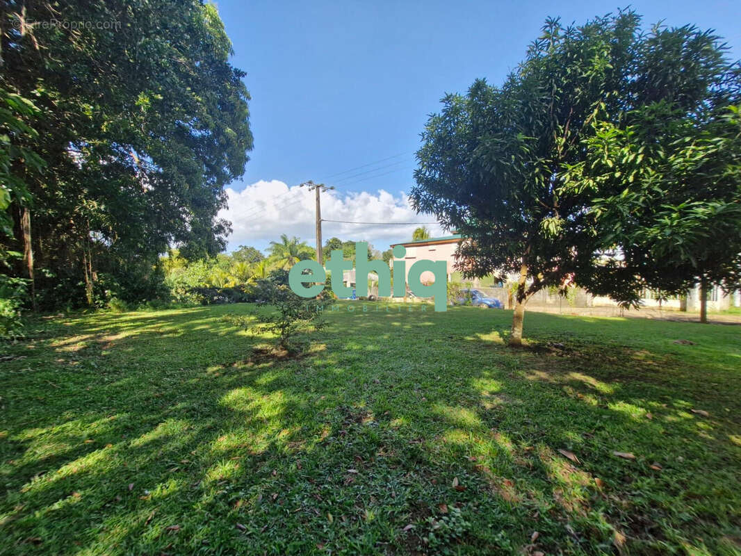 Terrain à SAINTE-ROSE