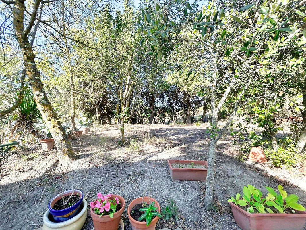 Maison à CARCASSONNE