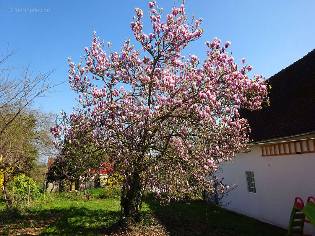Maison à LA FERTE-BERNARD