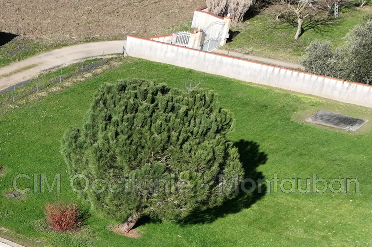 Terrain à MONTAUBAN